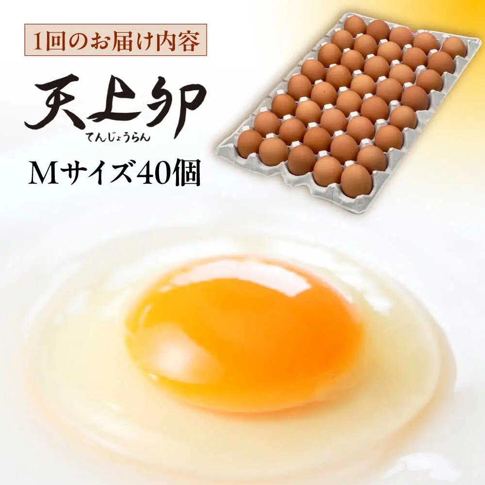 【 全3回 定期便 】  平飼い 卵  「 天上卵 」 40個 セット 糸島市 / 糸島ファームハウスUOVO [AKH006]
