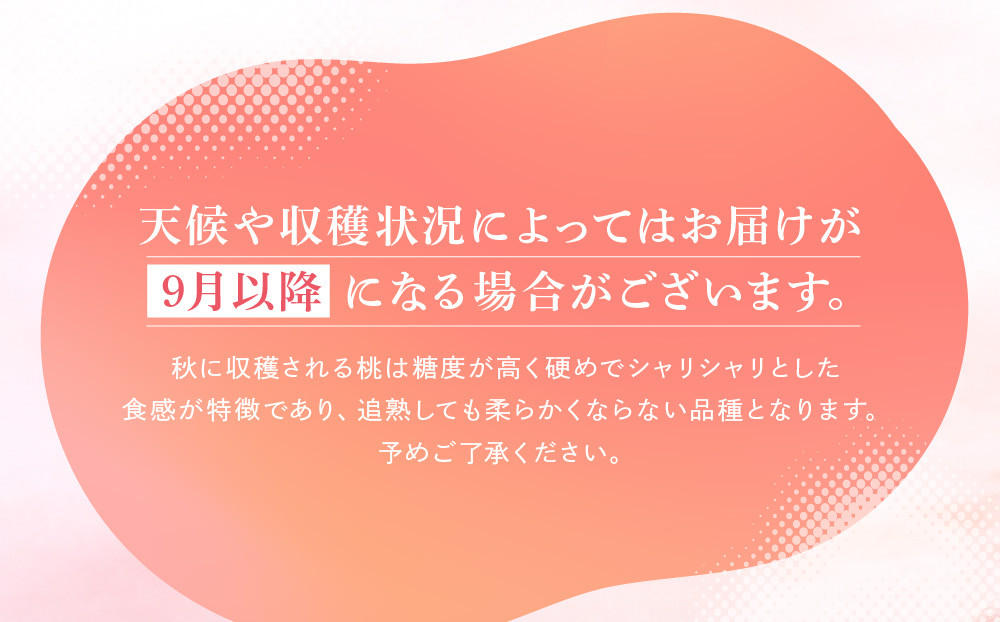 【2025年先行予約】飛騨のたからもも 特上 糖度15度以上（2玉）| 朝採り 桃 もも 極上の甘さ 濃厚 甘い 贈答 農家直送 飛騨の朝採り桃 飛騨高山 つむぎ果樹園 GH014