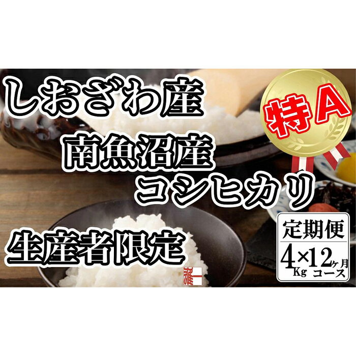 【ふるさと納税】【令和7年産】米 定期便 コシヒカリ 南魚沼しおざわ産 48kg ( 4kg × 12ヶ月 ) 契約栽培【2025年10月上旬より順次発送予定】 | お米 こめ 白米 コシヒカリ 食品 人気 おすすめ 送料無料 魚沼 南魚沼 南魚沼市 新潟県産 新潟県 精米