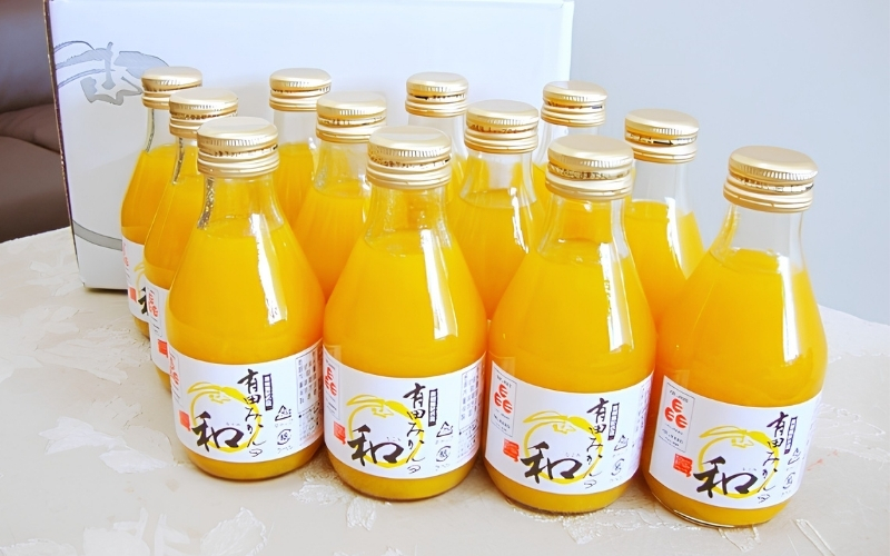 有田みかんの和（なごみ）180ml×12本【kjk111A】