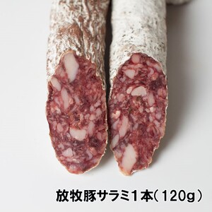 ELEZO放牧豚サラミ・テリーヌセット【株式会社ELEZO社】[№5891-0495]