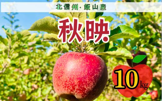 【先行予約】秋映（あきばえ）【約10ｋｇ(24〜36玉)】(7-A23-3)