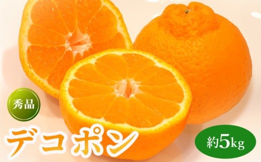 先行予約 デコポン 約5kg  果物 フルーツ デコポン 不知火 みかん 蜜柑 柑橘 デザート スイーツ ケーキ ジュース ゼリー アイス シャーベット ジェラート ギフト 家庭用 旬の果物 旬 お取り寄せ グルメ 人気 おすすめ 香川県 丸亀市