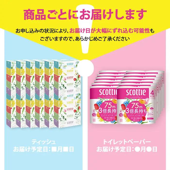 スコッティトイレットロール 48個 + ボックスティッシュ 60箱（トイレットペーパー ティッシュ）