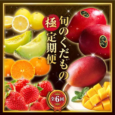 ふるさと納税 宮崎市 【発送月固定定期便】旬のくだもの【極】定期便(宮崎市)全6回
