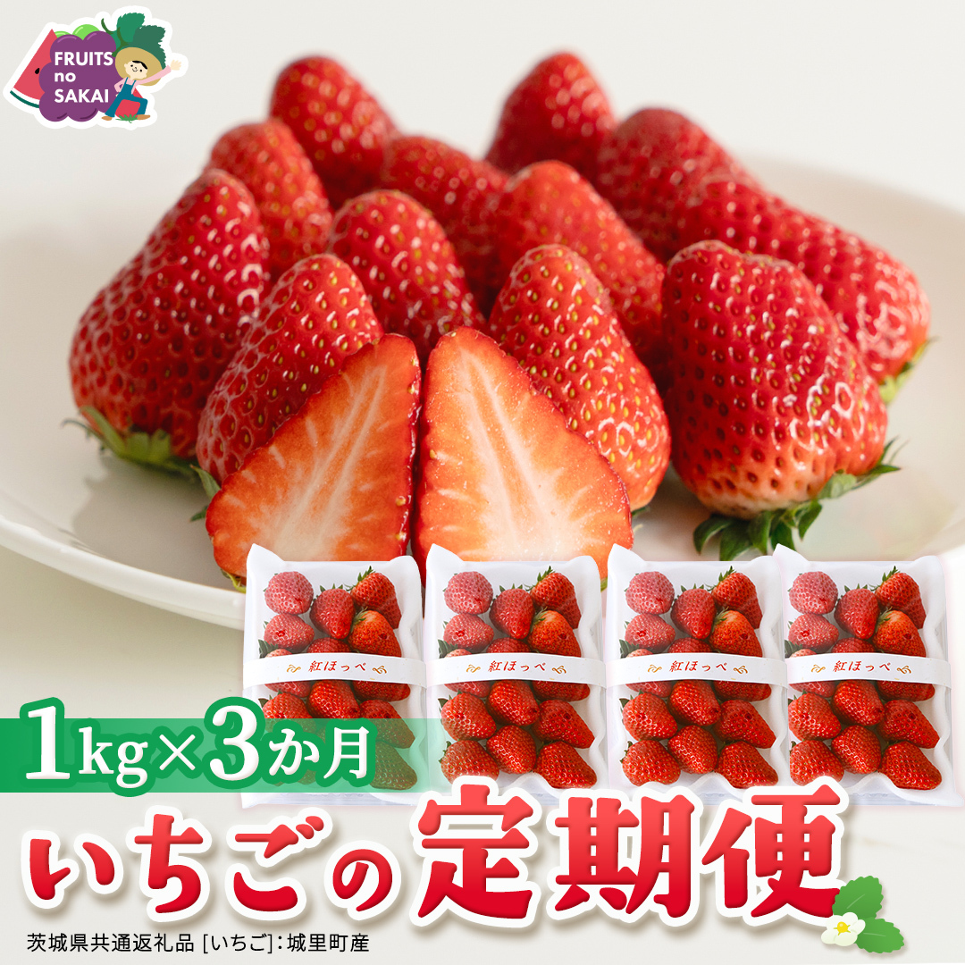 【定期便】旬ないちご品種おまかせ3ヶ月連続お届け便 （約250g×4パック）×3回【2027年1月から発送開始】（茨城県共通返礼品 [いちご]：城里町産）果物 くだもの フルーツ イチゴ 苺 旬 品種