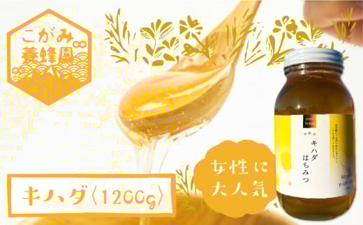 キハダ 蜂蜜 1200g はちみつ ハチミツ 国産 非加熱