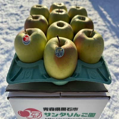 甘くてシャキシャキ!　青森県産りんご　ぐんま名月　家庭用　約3キロ　農家直送【1699143】