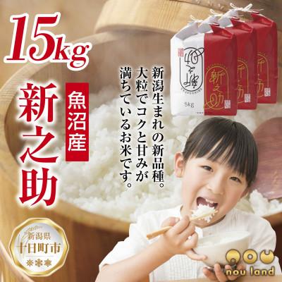 ふるさと納税 十日町市 【令和7年産 新米予約】 【新品種】 魚沼産 新之助 15kg  新潟県 十日町市 のうランド