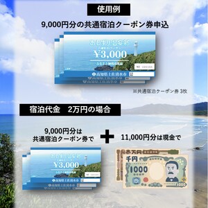 あしずり温泉郷 共通宿泊クーポン券 3,000円分 【R01313】