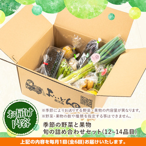 y359 《定期便・全6回》野菜と果物旬の詰め合わせ(12～14品目) 国産 九州産 鹿児島県産 野菜 やさい 果物 くだもの フルーツ デザート 詰め合わせ お楽しみ セット 旬【鹿児島県経済農業協