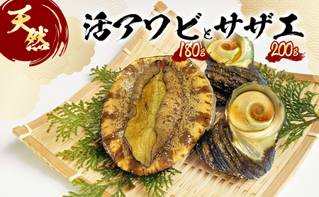 あわび 淡路島 天然 サザエセット 活あわび あわび