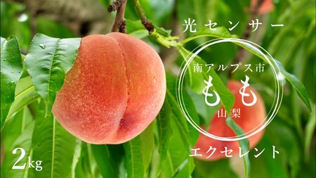 ＜2026年発送先行予約＞光センサー桃「エクセレント」約2kg ALPAA013