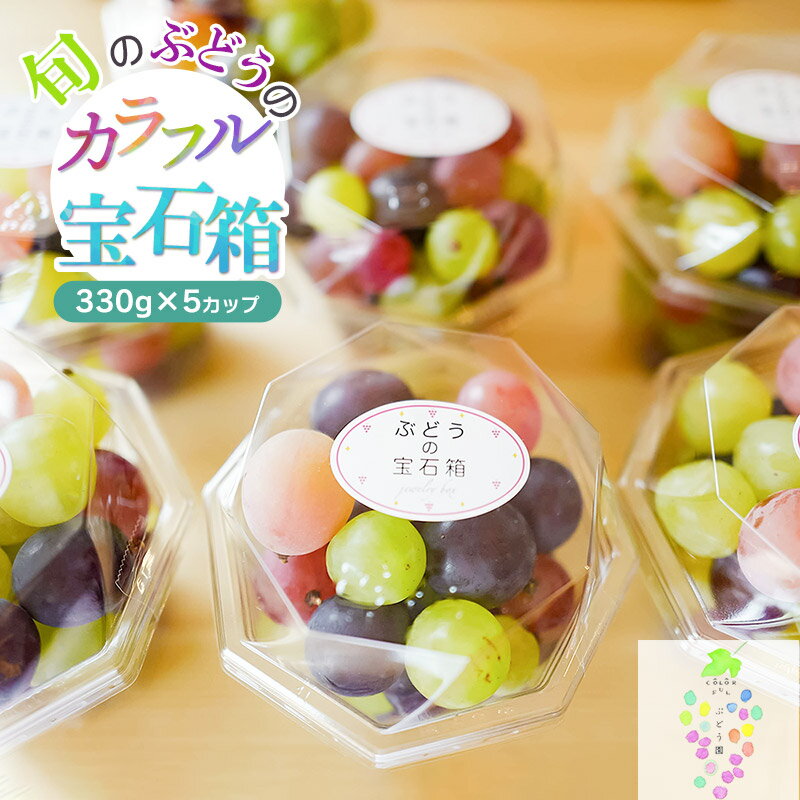 【ふるさと納税】【令和8年産先行予約】お楽しみ！旬のぶどうのカラフル宝石箱 330g×5カップ【発送時期：9月中旬〜】| 山形県 鶴岡市 返礼品 楽天ふるさと 納税 フルーツ 果物 くだもの ブドウ 葡萄 詰め合わせ お取り寄せ 自宅用 家庭用 国産 果実 ふるーつ