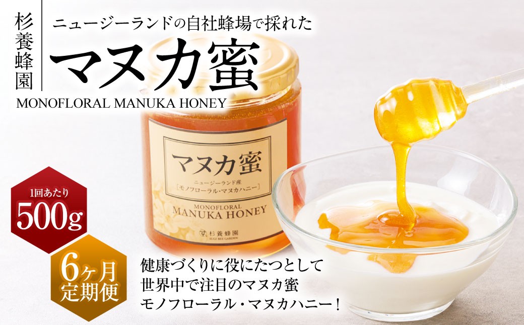 【6ヶ月定期便】 杉養蜂園 ニュージーランド産マヌカ蜜 500g×6ヶ月 はちみつ 蜂蜜