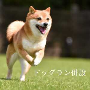 足柄ふれあい公園 手ぶらでBBQ（4名様）