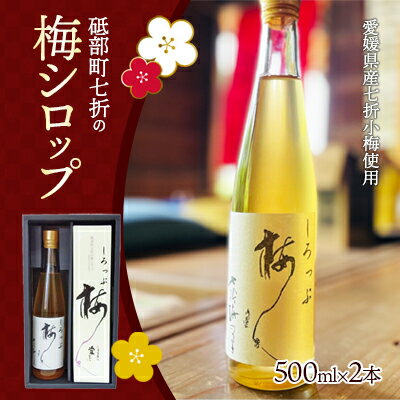 【ふるさと納税】七折小梅の梅シロップ 500ml×2本入り【砥部町 七折 特産品 手摘み 小梅 うめ 梅ジュース カクテル 炭酸 ゼリー かき氷 無添加 化粧箱 贈答】 加工食品