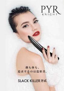 「造形美」美顔器　LINKS　パイラナイト