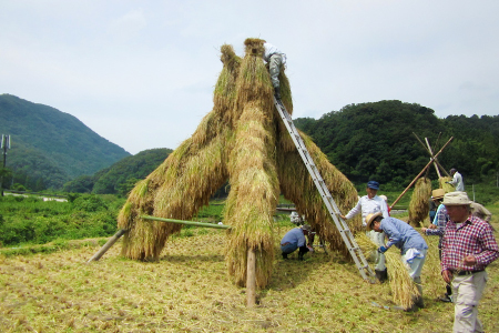 竜馬が醸す石見の地酒「開春」辛口純米酒セット【日本酒 3本 セット 3種類 720ml 開春 純米超辛口 生酛純米 西田 純米 備前雄町 辛口純米酒 辛口 純米酒 飲み比べ 4合瓶 ギフト 父の日】