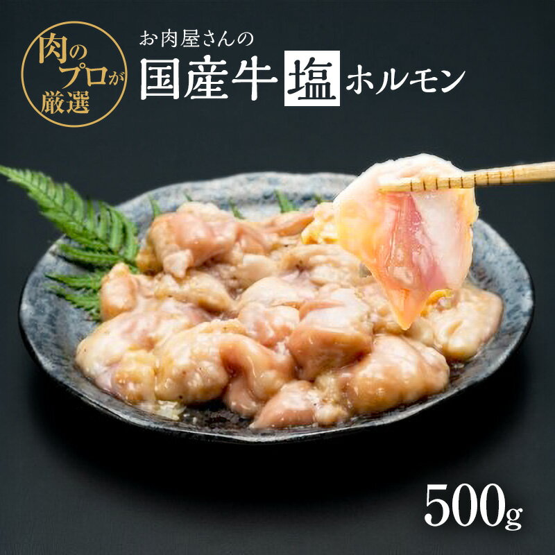 【ふるさと納税】ホルモン お肉屋さんの黒毛和牛 塩ホルモン 500g 黒毛和牛 肉 味付け 牛肉