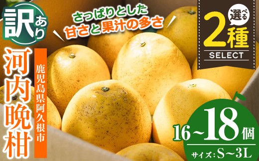 
                  ＜先行予約受付中！2027年3月中旬以降順次発送予定＞＜サイズ・容量が選べる！＞訳あり 河内晩柑(S～3L、16～18個) 柑橘 フルーツ 果物 国産 みかん 期間限定 数量限定【株式会社土曜日】
                