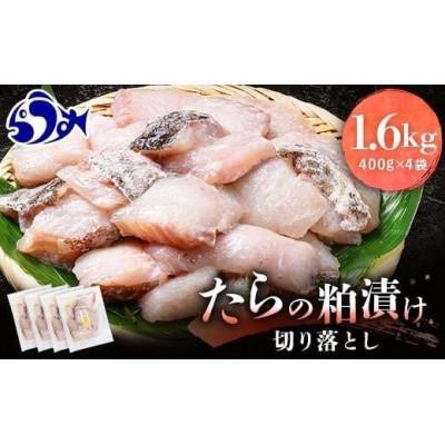 ふるさと納税 羅臼町 たらの粕漬け 切り落とし1.6kg【北海道羅臼町】