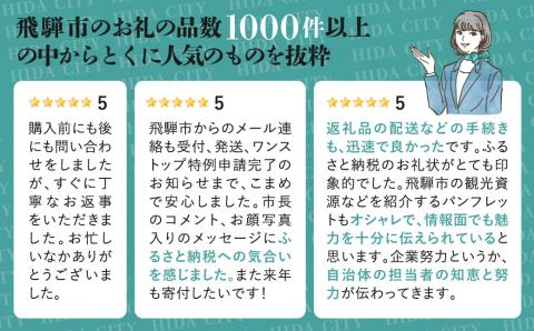 後からゆっくり返礼品を選べる♪飛騨市のふるさと納税カタログ 飛騨牛 日本酒 ヨーグルト チーズ ハンバーグ など約200種類以上[cat100]