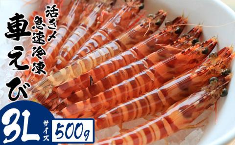 活き〆急速冷凍車えび【3Lサイズ】　500g お刺身 塩焼き 天ぷら フライ 急速冷凍 エビ 鮮度 おせち 養殖 瞬間冷凍 甲殻類 海産物 うまみ 送料無料 海鮮 くるまえび 海老