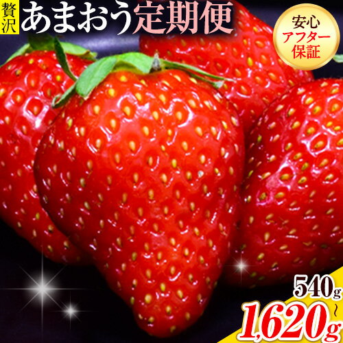 【ふるさと納税】【2ヶ月定期便】いちご あまおう 先行予約 いちご大量 540g 1080g 1620g ふるさと納税 フルーツ 苺 旬 訳あり 数量限定 ふるさと納税 不揃い 傷 4月 規格外 規格外果物 くだもの 果物 【着日指定不可】《2026年3月・4月頃出荷》