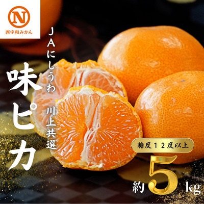 JAにしうわの季節の柑橘(川上共選　味ピカ5kg)【E08−24】【1443302】