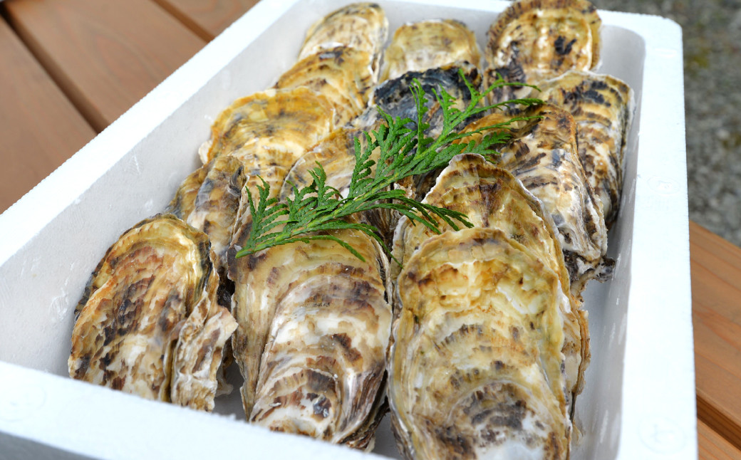 濃厚でプリプリの牡蠣を是非ご賞味ください。