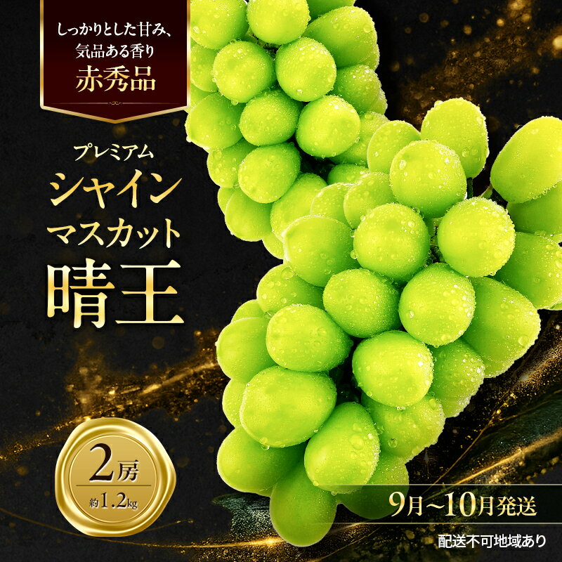 【ふるさと納税】ぶどう 2026年 先行予約 赤秀ぶどう プレミアム シャインマスカット 晴王 2房 1.2kg 9月～10月発送 船穂産 赤秀品 皮ごと食べる みずみずしい 糖度保証 岡山県産 満天フルーツ　お届け：2026年9月1日～2026年10月31日