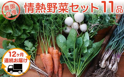 【12ヶ月連続お届け】農園自慢の情熱野菜セット（11品）【野菜 詰め合わせ お任せ 季節物 定期便 セット 山芋 パセリ わさび菜 ポップコーン かぶ 人参 里芋 たまねぎ 玉ねぎ ルッコラ ほうれん草 春菊 大根 芽キャベツ レタス じゃがいも さつまいも とうもろこし そら豆 枝豆 パクチー ビーツ ほうれん草 キャベツ ピーマン なすトマト かぼちゃ】