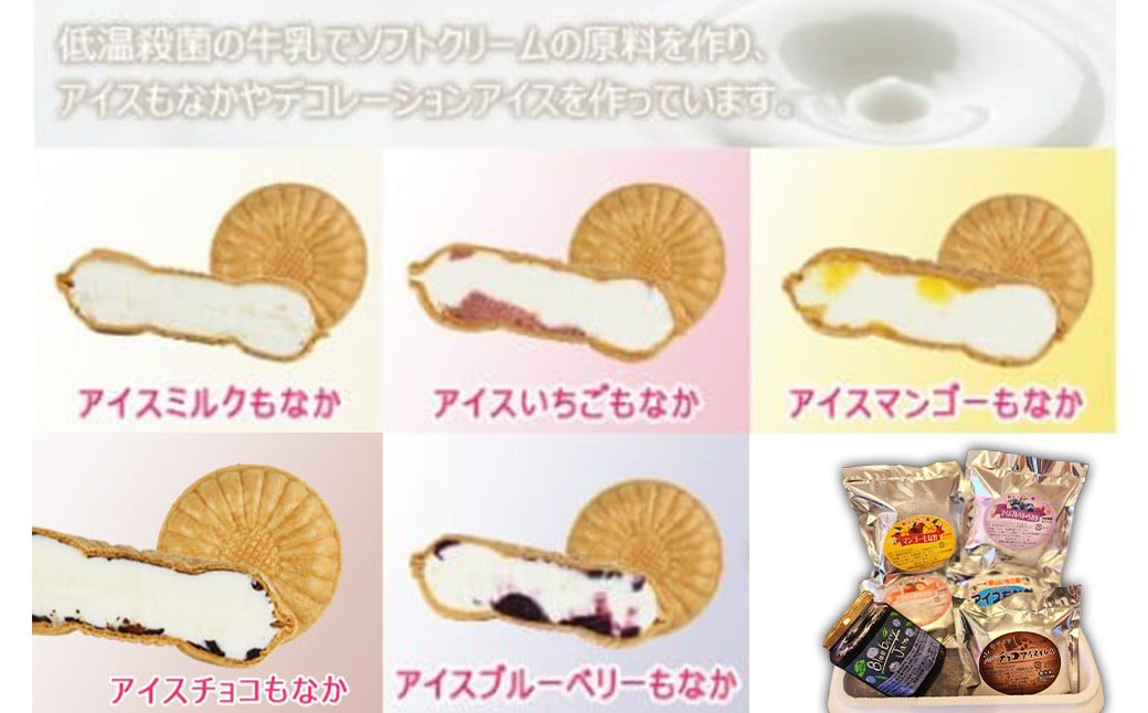 ＜自家製アイスクリームとブルーベリージャムのセット＞2か月以内に順次出荷 アイス ジャム セット ブルーベリー