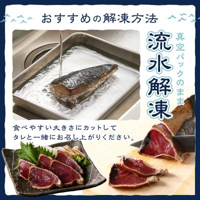 ふるさと納税 焼津市 南鰹藁焼きタタキ ハーフサイズ 約1.5kg(a10-1134) |  | 02