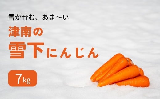 【令和8年産先行予約】津南の雪下にんじん 7kg 新潟県 津南町