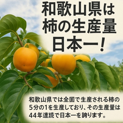 柳フルーツ園の富有柿 約2kg【2026年冬配送】