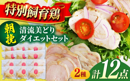 鶏肉 清流美どり ダイエットセット 2種 12点 [ANDL009] 鶏肉