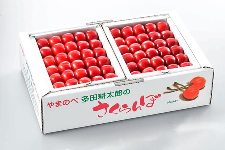 《先行予約》2025年 山形県産 紅秀峰 本詰約1kg 2L やまのべ多田耕太郎のさくらんぼ サクランボ F20A-054