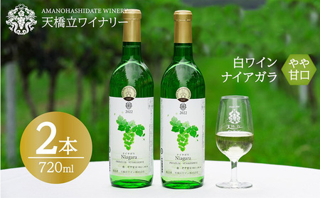 ナイヤガラ 2本 やや甘口 2023特 720ml ナイヤガラ