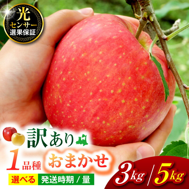 【ふるさと納税】★レビュー高評価★【 訳あり 】 りんご 1品種 おまかせ 3kg または 5kg ( 配送時期が選べる ) 青森/ 不揃い 規格外 送料無料 くだもの 果物 フルーツ 林檎 旬 青森県 五所川原市 リンゴ ringo