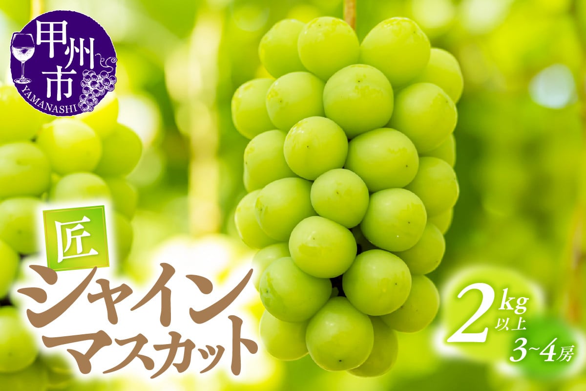 
            甲州市産シャインマスカット（匠）2kg以上 3～4房【2025年発送】（ATP）B16-820 【シャインマスカット 葡萄 ぶどう ブドウ 令和7年発送 期間限定 山梨県産 甲州市 フルーツ 果物】
          