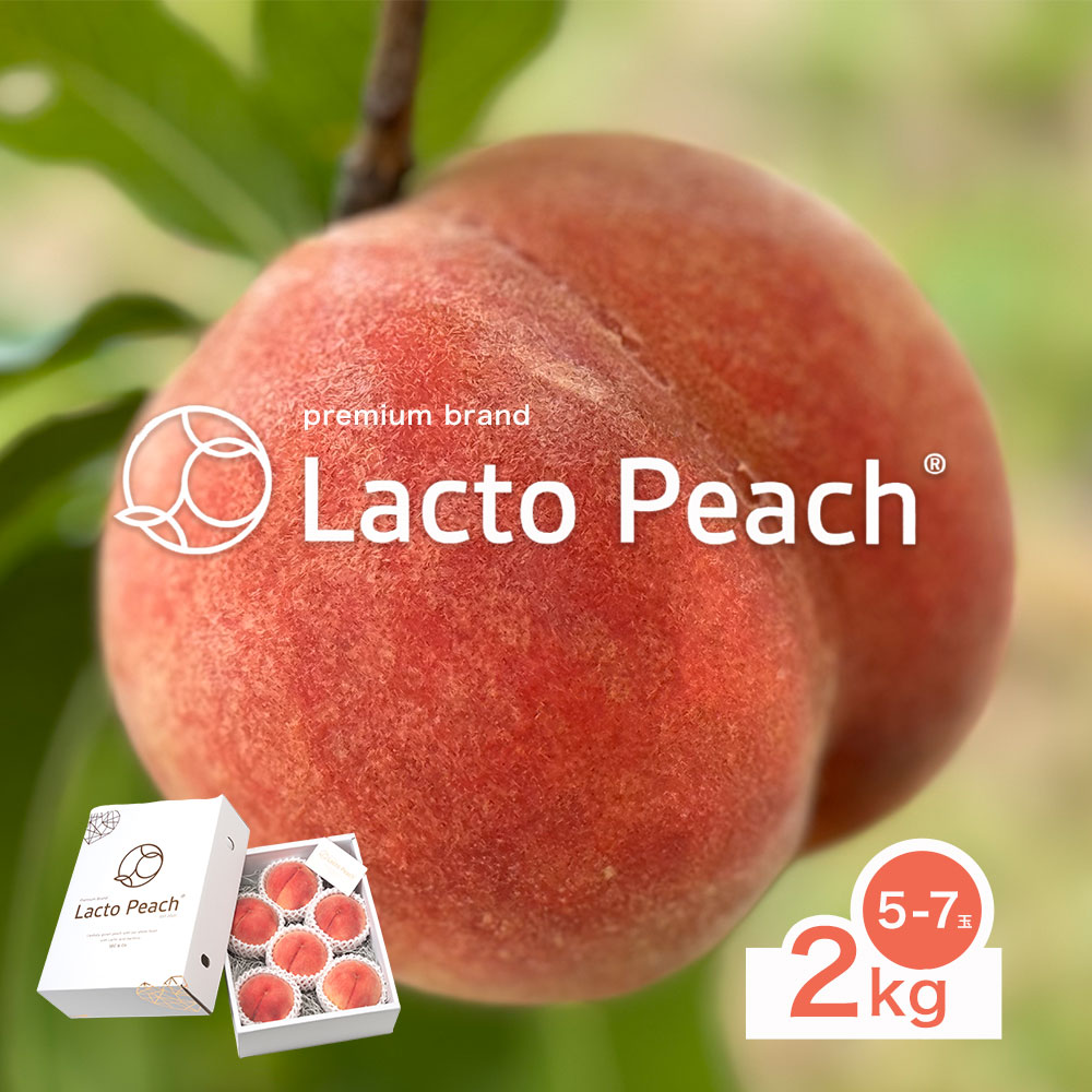 【ふるさと納税】【先行予約】乳酸菌で育てた あら川の桃 Lacto Peach ラクトピーチ 2kg《2026年7月上旬-7月中旬頃出荷》 5~7玉入箱 和歌山県産 辻本農園 SEC & Co. 紀の川市 果物 フルーツ 桃 もも モモ 旬
