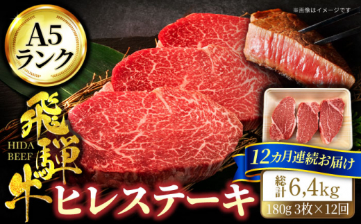 
【12回定期便】＜A5ランク＞飛騨牛ヒレステーキ180g×3枚 計540g 総計6.48kg【有限会社マルゴー】 [MBE045]
