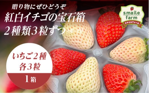 贈り物にぜひどうぞ 紅白イチゴの宝石箱 2種類3粒ずつ（赤・白） FAF-0046