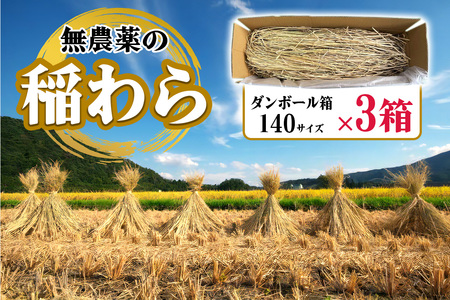 [先行予約] 稲わら・無農薬 3箱 [JAS有機認定又は転換中 日光ダイヤ舞の藁] 令和7年度｜2025年度 有機栽培稲わら 無農薬 オーガニック 国産 産地直送 わら納豆づくり しめ縄づくり 正月飾りづくり 野菜の敷き藁 ペットの敷き藁 [0569]