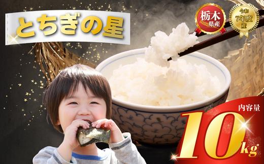 とちぎの星 10kg（5kg×2袋） | 米 こめ コメ kome 白米 精米 お米 とちぎのほし トチギノホシ ﾄﾁｷﾞﾉﾎｼ 粘り 弾力 冷めても美味しい 丼もの カレー 栃木米 令和7年度米 令和7年度 2025年度米 2025年度 ブランド米 栃木県 特産品 送料無料 【栃木県共通返礼品】 栃木県 下野市 しもつけ市