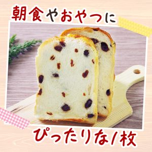 6回 定期便 レーズン食パン 海洋深層水食パン 4斤 [ロマンド 高知県 rm010]