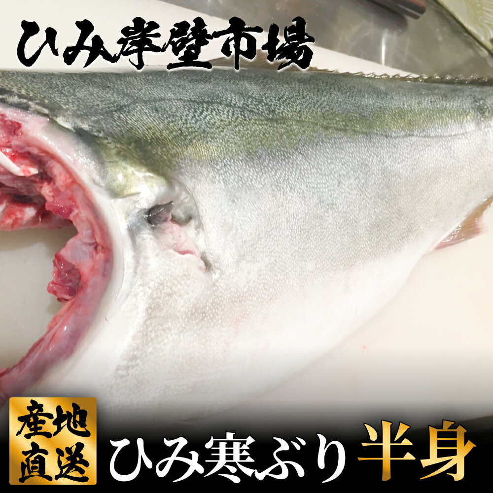 【ふるさと納税】【先行予約】 【期間限定】ひみ寒ぶり半身 富山県 氷見 氷見漁港 能登 寒ブリ 半身 天然鰤 処理 ひみ岸壁市場 天然 鮮魚 ブリ 産地直送 釣屋魚問屋直営 ひみ岸壁市場