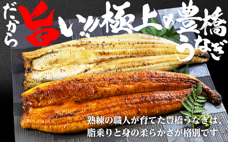 豊橋うなぎ お茶漬け 3人前 夏目 うなぎ